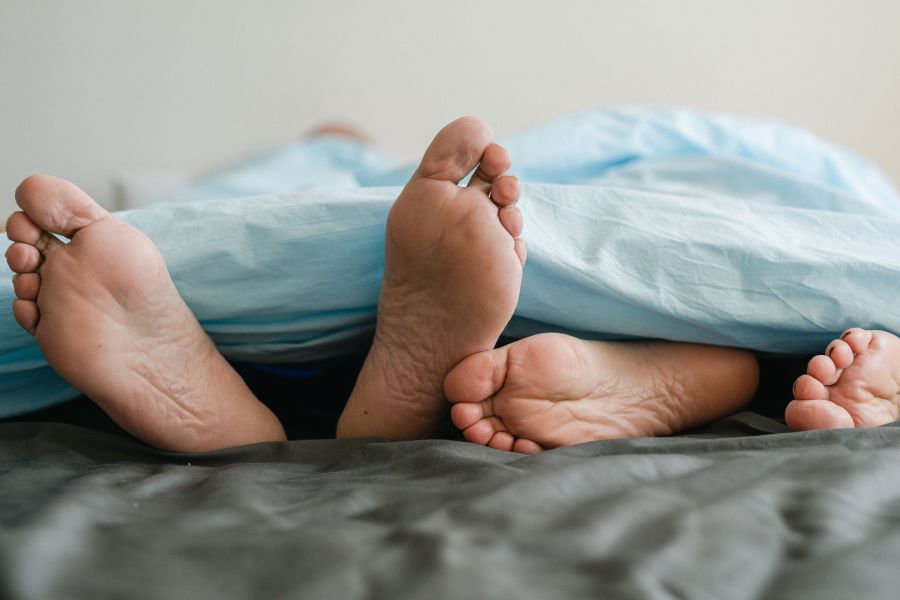 Le sommeil